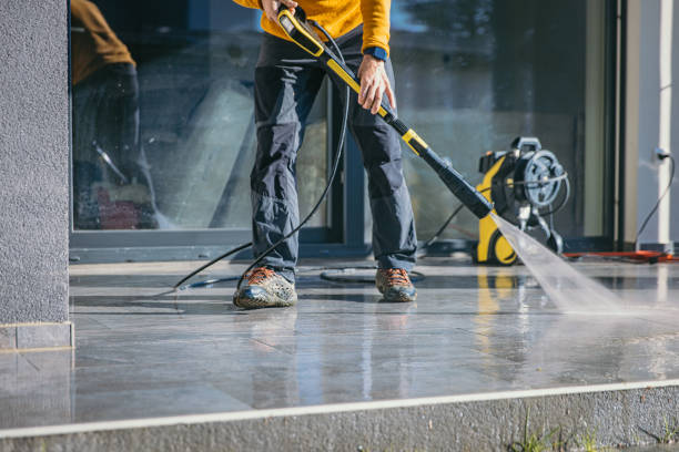 Best Pressure Washing Siding  in Golden Meadow, LA