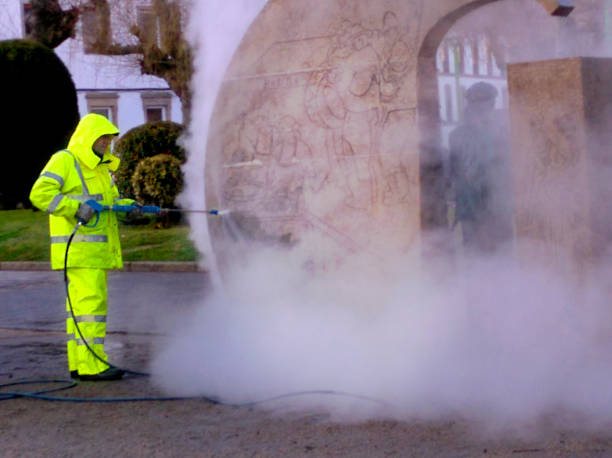 Best Pressure Washing Services for Businesses  in Golden Meadow, LA