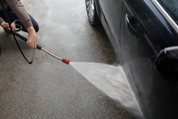 Best Pressure Washing Near Me  in Golden Meadow, LA