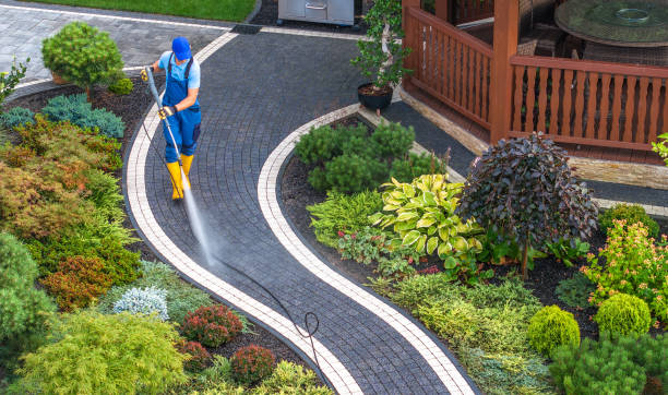 Best Power Washing Near Me  in Golden Meadow, LA
