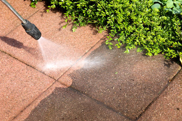  Golden Meadow, LA Pressure Washing Pros
